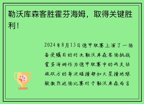 勒沃库森客胜霍芬海姆，取得关键胜利！